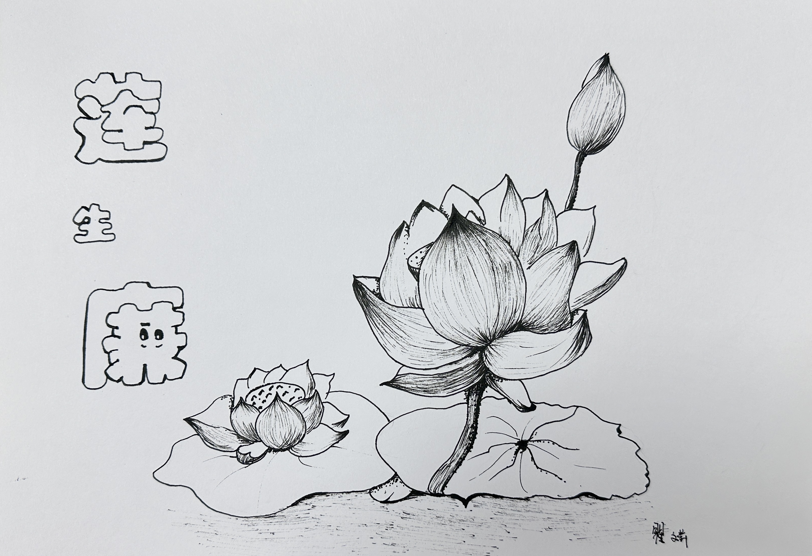 17繪畫(huà)類（白描畫(huà)）《蓮生廉》.jpg